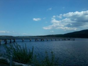 13435981_966304940157772_185108881_n