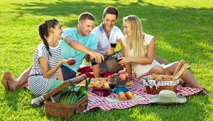 pic-nic-friends-dreamstime_s_30245795